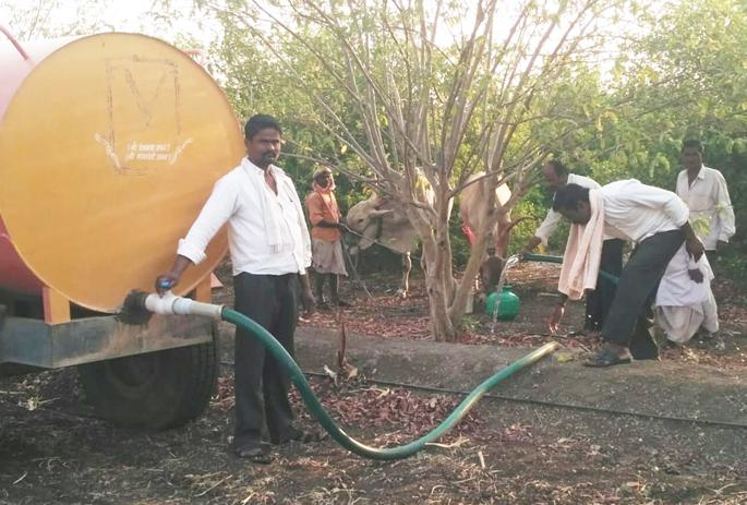Due to drought; Water tankers to save orchards | दुष्काळाची दाहकता; फळबागा वाचविण्यासाठी टँकरदारे पाणीपुरवठा Due to drought; Water tankers to save orchards | दुष्काळाची दाहकता; फळबागा वाचविण्यासाठी टँकरदारे पाणीपुरवठा
