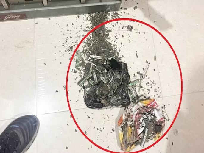 uttar-pradesh-termites-eat-currency-notes-worth-rupees-18-lakh-kept-in-bank-of-baroda-locker | मुलीच्या लग्नासाठी जमवलेले 18 लाख बँकेच्या लॉकरमध्ये ठेवले; वाळवीने खाऊन घेतले uttar-pradesh-termites-eat-currency-notes-worth-rupees-18-lakh-kept-in-bank-of-baroda-locker | मुलीच्या लग्नासाठी जमवलेले 18 लाख बँकेच्या लॉकरमध्ये ठेवले; वाळवीने खाऊन घेतले