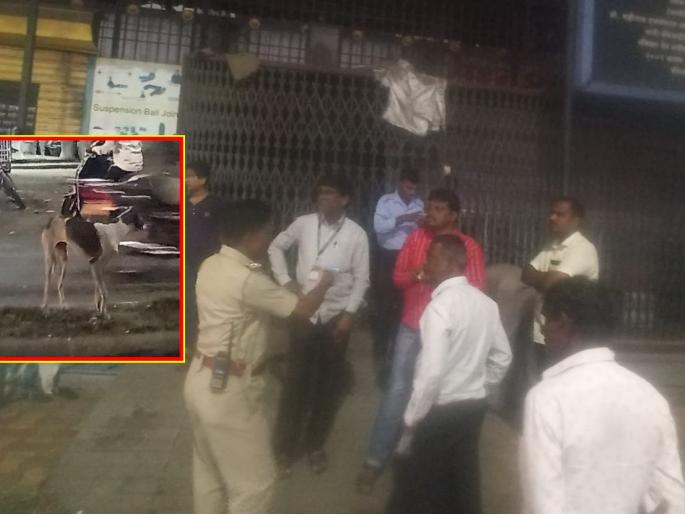 Dog Trapped in Building Sealed by Bank; The employees escaped with the help of the police | बँकेने सील केलेल्या इमारतीत अडकला कुत्रा; पोलिसांच्या मदतीने कर्मचाऱ्यांनी केली सुटका Dog Trapped in Building Sealed by Bank; The employees escaped with the help of the police | बँकेने सील केलेल्या इमारतीत अडकला कुत्रा; पोलिसांच्या मदतीने कर्मचाऱ्यांनी केली सुटका