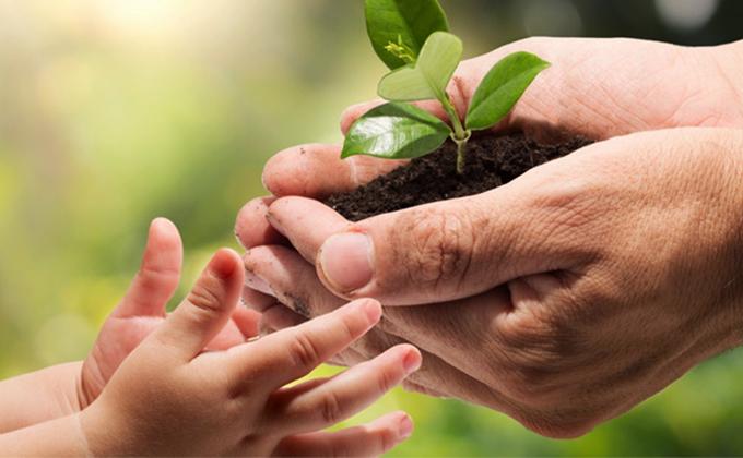 Pollution Control Board officials are the only one | प्रदूषण नियंत्रण मंडळाच्या आॅफिसात अधिकारी एकच