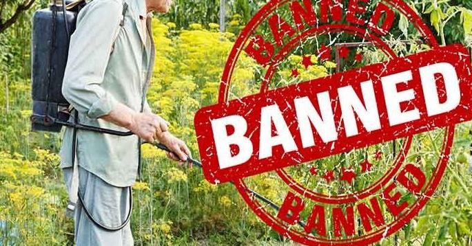 Banning five pesticides; Appeal not to be used | पाच किटकनाशकांवर बंदी; वापर न करण्याचे आवाहन Banning five pesticides; Appeal not to be used | पाच किटकनाशकांवर बंदी; वापर न करण्याचे आवाहन