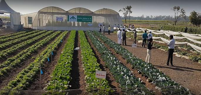Agricultural universities were excluded from the Barty Fellowship | कृषी विद्यापीठांना बार्टी फेलोशिपमधून वगळले