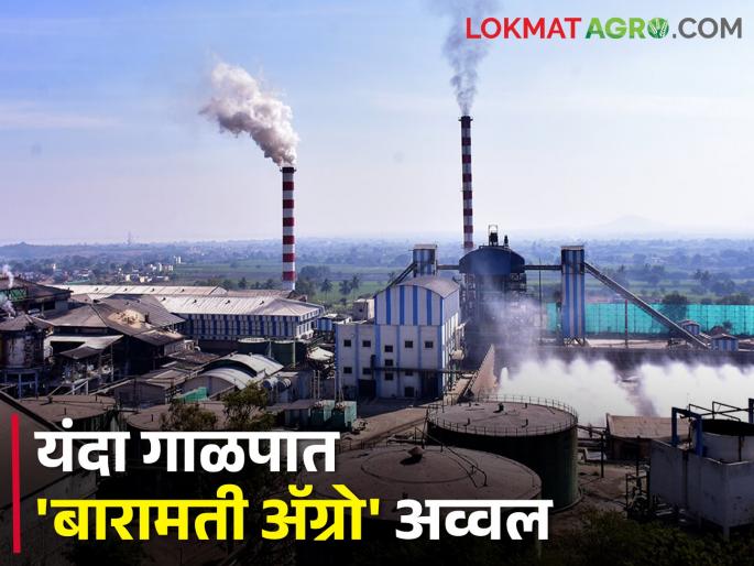 33 sugar factories crushing season is over in state; What are the top ten factories crushing the most? | राज्यातील ३३ साखर कारखान्यांची धुराडी थंडावली; सर्वाधिक गाळप करणारे टॉप टेन कारखाने कोणते? 33 sugar factories crushing season is over in state; What are the top ten factories crushing the most? | राज्यातील ३३ साखर कारखान्यांची धुराडी थंडावली; सर्वाधिक गाळप करणारे टॉप टेन कारखाने कोणते?