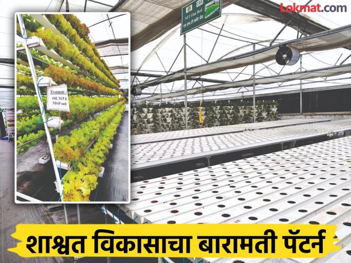 A study tour was conducted jointly by Sindhudurg District Bank and Bhagirath Gram Vikas Pratishthan, Zarap, to understand the Baramati pattern of sustainable development | दुष्काळी भागात फुलविला समृद्धीचा मळा, बारामतीमध्ये येतेय शाश्वत विकासाची पावलोपावली प्रचिती A study tour was conducted jointly by Sindhudurg District Bank and Bhagirath Gram Vikas Pratishthan, Zarap, to understand the Baramati pattern of sustainable development | दुष्काळी भागात फुलविला समृद्धीचा मळा, बारामतीमध्ये येतेय शाश्वत विकासाची पावलोपावली प्रचिती