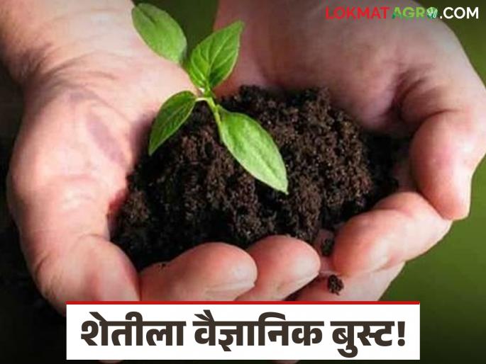 latest news Agriculture News: Scientific boost to agriculture; BARC's 5 innovations transferred to Mahabeej Read in detail | Agriculture News : शेतीला वैज्ञानिक बुस्ट; बीएआरसीची ५ इनोव्हेशन महाबीजकडे हस्तांतरित वाचा सविस्तर