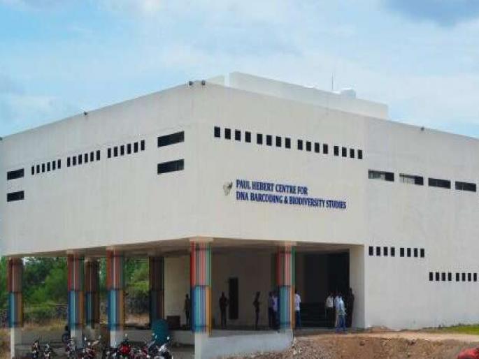 Paul Hebert DNA Barcoding Center in BAMU University is turning out to be a boon for fisheries professionals | मत्स्य व्यावसायिकांसाठी विद्यापीठातील ‘डीएनए बारकोडिंग’ केंद्र ठरतेय वरदान Paul Hebert DNA Barcoding Center in BAMU University is turning out to be a boon for fisheries professionals | मत्स्य व्यावसायिकांसाठी विद्यापीठातील ‘डीएनए बारकोडिंग’ केंद्र ठरतेय वरदान
