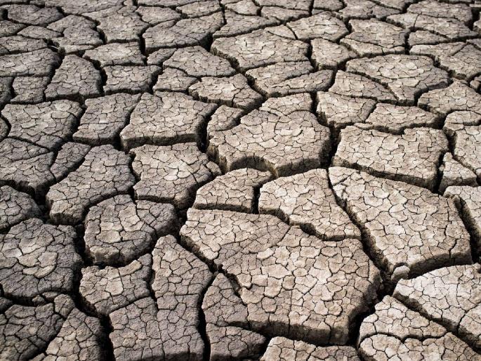 Bad weather hits 6.32 lakh hectares; 672 crore demand, Divisional Commissioner's proposal | अवकाळीचा ६.३२ लाख हेक्टरला फटका; ६७२ कोटींची मागणी, विभागीय आयुक्तांचा प्रस्ताव Bad weather hits 6.32 lakh hectares; 672 crore demand, Divisional Commissioner's proposal | अवकाळीचा ६.३२ लाख हेक्टरला फटका; ६७२ कोटींची मागणी, विभागीय आयुक्तांचा प्रस्ताव