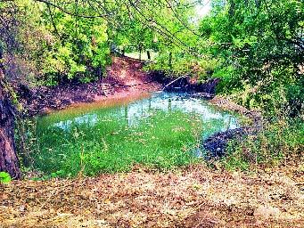 Barshi - Theft of water from the Kurdawadi pipeline | बार्शी - कुर्डूवाडी पाईपलाईनमधून पाण्याची चोरी Barshi - Theft of water from the Kurdawadi pipeline | बार्शी - कुर्डूवाडी पाईपलाईनमधून पाण्याची चोरी