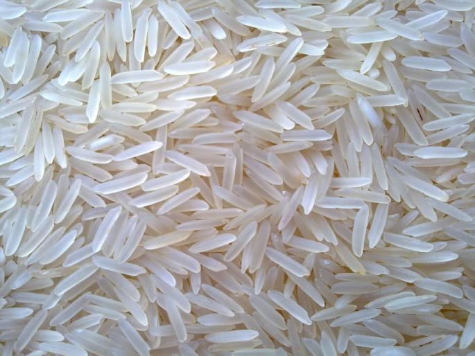 Six states of Basmati exports are permitted only | बासमती निर्यातीची सहा राज्यांनाच परवानगी Six states of Basmati exports are permitted only | बासमती निर्यातीची सहा राज्यांनाच परवानगी