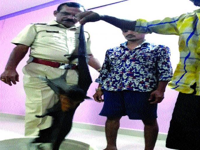 Battalion hunting ghazad, Badlapur incident | वटवाघळाची शिकार करणारे गजाआड, बदलापूरची घटना Battalion hunting ghazad, Badlapur incident | वटवाघळाची शिकार करणारे गजाआड, बदलापूरची घटना