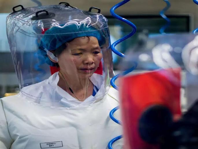 'Batwoman' discovers bat coronavirus | ‘बॅटवूमन’ने शोधला वटवाघळ कोरोना विषाणू 'Batwoman' discovers bat coronavirus | ‘बॅटवूमन’ने शोधला वटवाघळ कोरोना विषाणू