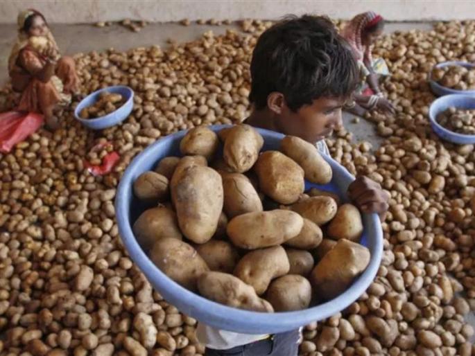 Agra farmer earns Rs 490 from potato crop, sends it to PM Modi in protest | '19 टन' बटाटा विकून मिळाले फक्त 490 रुपये, संतप्त शेतकऱ्याने मोदींना पाठवले Agra farmer earns Rs 490 from potato crop, sends it to PM Modi in protest | '19 टन' बटाटा विकून मिळाले फक्त 490 रुपये, संतप्त शेतकऱ्याने मोदींना पाठवले