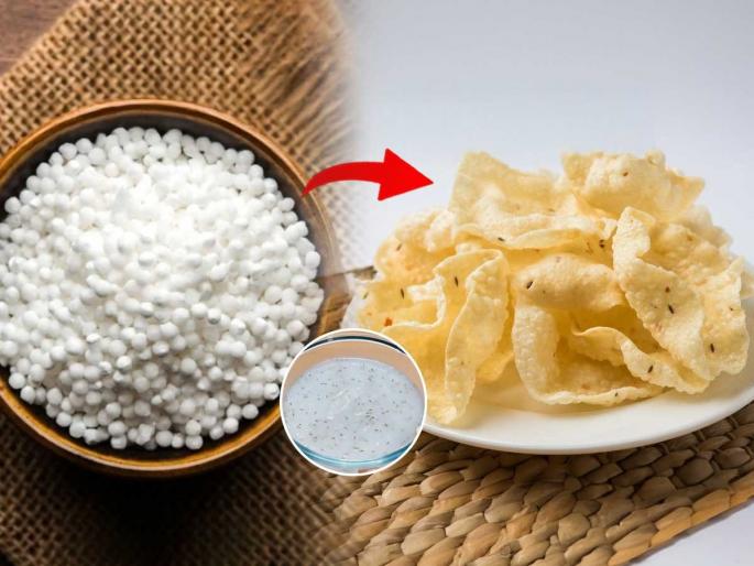 Sabudana potato papad recipe step by step Fast special sabudana batata papad Homemade dried potato papad How to make crispy sabudana papad at home Summer drying recipes Indian snacks | वाळवण स्पेशल: घरीच करा झटपट उपवासाचे साबुदाणा - बटाटा पापड! वर्षभराची सोय- परफेक्ट रेसिपी, दुप्पट फुलतील Sabudana potato papad recipe step by step Fast special sabudana batata papad Homemade dried potato papad How to make crispy sabudana papad at home Summer drying recipes Indian snacks | वाळवण स्पेशल: घरीच करा झटपट उपवासाचे साबुदाणा - बटाटा पापड! वर्षभराची सोय- परफेक्ट रेसिपी, दुप्पट फुलतील