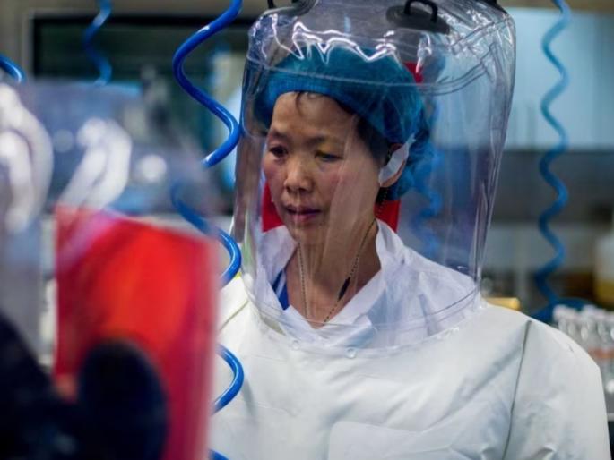 china batwoman corona virus covid like future outbreaks warns- world | चिंताजनक! आणखी धोकादायक रुपात परतणार कोरोना?; चीनच्या 'बॅटवुमन'ने दिली वॉर्निंग china batwoman corona virus covid like future outbreaks warns- world | चिंताजनक! आणखी धोकादायक रुपात परतणार कोरोना?; चीनच्या 'बॅटवुमन'ने दिली वॉर्निंग