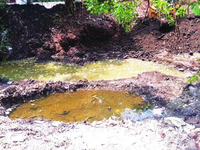 Rakesh Rebello news | जलचरांनी बहरले बावखल, राकेश रिबेलो या तरूणाचे अथक परिश्रम आले फळाला Rakesh Rebello news | जलचरांनी बहरले बावखल, राकेश रिबेलो या तरूणाचे अथक परिश्रम आले फळाला