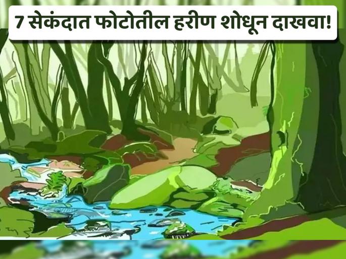 Optical illusion : spot deer in 7 seconds hidden in this pic | फोटोत लपलं आहे एक हरीण, 7 सेकंदात शोधण्याचं आहे चॅलेंज! Optical illusion : spot deer in 7 seconds hidden in this pic | फोटोत लपलं आहे एक हरीण, 7 सेकंदात शोधण्याचं आहे चॅलेंज!