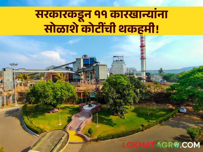 Sugar Factory: Relief for sugar factories from the state government! Sixteen hundred crores guarantee for 11 factories! | Sugar Factory : राज्य सरकारकडून साखर कारखान्यांना दिलासा! ११ कारखान्यांना सोळाशे कोटींची थकहमी! Sugar Factory: Relief for sugar factories from the state government! Sixteen hundred crores guarantee for 11 factories! | Sugar Factory : राज्य सरकारकडून साखर कारखान्यांना दिलासा! ११ कारखान्यांना सोळाशे कोटींची थकहमी!