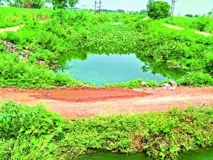 Baby Canal will broke, dangerous | बेबी कालवा फुटण्याचा धोका Baby Canal will broke, dangerous | बेबी कालवा फुटण्याचा धोका