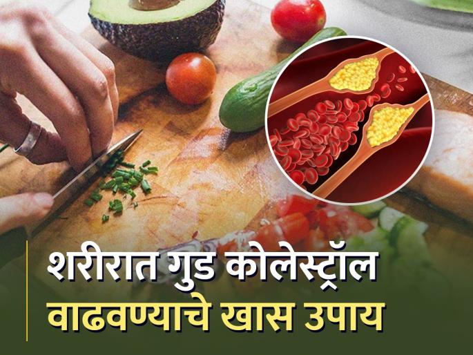 Foods to maintain good cholesterol levels in your body | शरीरात गुड कोलेस्ट्रॉल वाढवण्यासाठी खास उपाय, रोज कराल तर मिळतील अनेक फायदे! Foods to maintain good cholesterol levels in your body | शरीरात गुड कोलेस्ट्रॉल वाढवण्यासाठी खास उपाय, रोज कराल तर मिळतील अनेक फायदे!