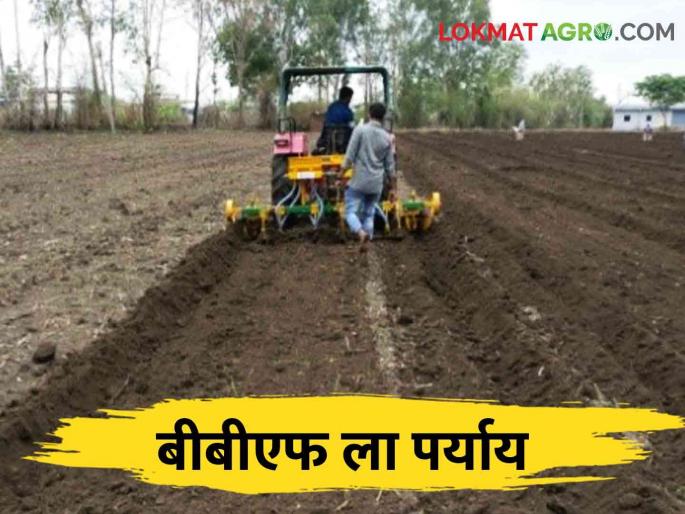 How to do sowing if BBF sowing machine is not available for sowing? | पेरणीसाठी बीबीएफ पेरणी यंत्र उपलब्ध नसल्यास कशी कराल पेरणी? How to do sowing if BBF sowing machine is not available for sowing? | पेरणीसाठी बीबीएफ पेरणी यंत्र उपलब्ध नसल्यास कशी कराल पेरणी?