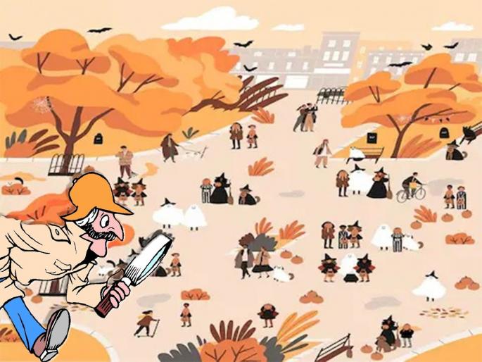 Optical Illusion : Can you spot hidden 5 cats in 30 seconds | फोटोतील 5 मांजरी शोधण्याचं आहे चॅलेंज, तीक्ष्ण डोळे असतील तर ट्राय करा! Optical Illusion : Can you spot hidden 5 cats in 30 seconds | फोटोतील 5 मांजरी शोधण्याचं आहे चॅलेंज, तीक्ष्ण डोळे असतील तर ट्राय करा!