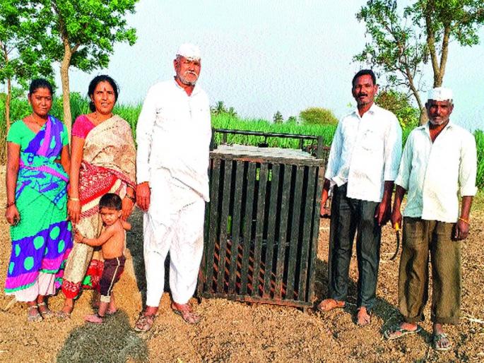 4 goats killed in leopard attack | बिबट्याच्या हल्ल्यात ४ शेळ्या ठार