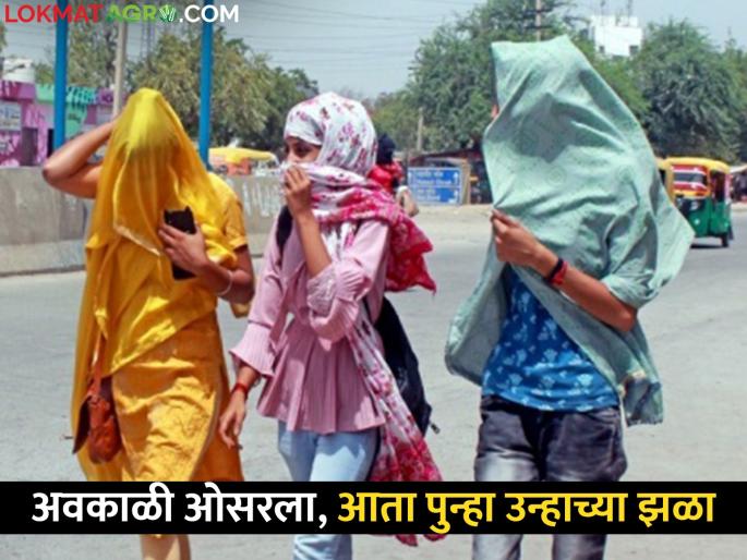todays temperature: How will the temperature be after unseasonal rain in the state? | todays temperature: राज्यात अवकाळी पावसानंतर कसे राहणार तापमान? todays temperature: How will the temperature be after unseasonal rain in the state? | todays temperature: राज्यात अवकाळी पावसानंतर कसे राहणार तापमान?