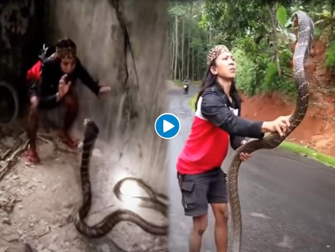 OMG : Video of woman catches giant snake with bare hands, you will shock | बाप रे बाप! महिलेने हाताने पकडला इतका मोठा साप की व्हिडीओ पाहून उडेल थरकाप..... OMG : Video of woman catches giant snake with bare hands, you will shock | बाप रे बाप! महिलेने हाताने पकडला इतका मोठा साप की व्हिडीओ पाहून उडेल थरकाप.....
