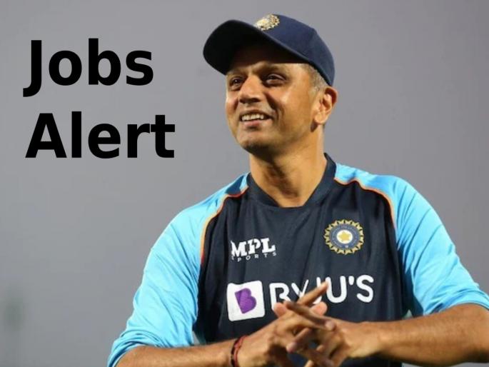 Jobs Alert : BCCI would like to call upon interested candidates to apply for the position of General Manager- Marketing & Commercial. | सुवर्णसंधी! टीम इंडियाच्या खेळाडूंना जवळून पाहण्याचा मोठा चान्स; BCCIसोबत काम करण्यासाठी निघालीय जाहीरात