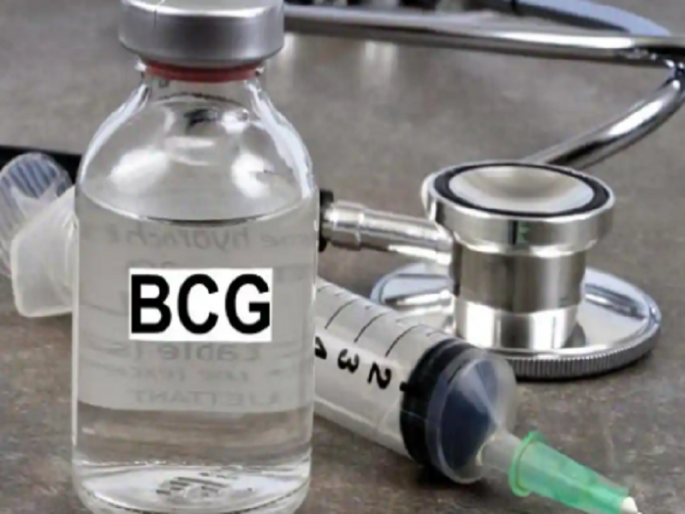 coronavirus: BCG injection experiment in corona treatment | coronavirus : कोरोना उपचारात बीसीजी इंजेक्शनचा प्रयोग coronavirus: BCG injection experiment in corona treatment | coronavirus : कोरोना उपचारात बीसीजी इंजेक्शनचा प्रयोग