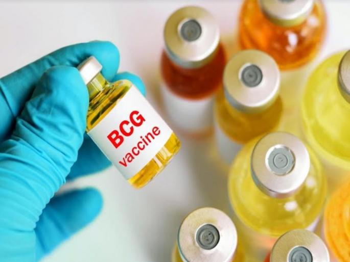 BCG vaccine to be given to five lakh adults; Door to door survey to be conducted by District Health Department | पाच लाख प्रौढांना देणार बीसीजी लस; जिल्हा आरोग्य विभागाकडून होणार घरोघरी सर्वेक्षण BCG vaccine to be given to five lakh adults; Door to door survey to be conducted by District Health Department | पाच लाख प्रौढांना देणार बीसीजी लस; जिल्हा आरोग्य विभागाकडून होणार घरोघरी सर्वेक्षण