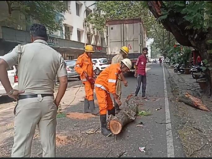A cargo truck entered the city of Panaji and destroyed a tree; Vehicles were also damaged | पणजी शहरात मालवाहू ट्रक घुसून झाड माेडले; वाहनांचेही झाले नुकसान A cargo truck entered the city of Panaji and destroyed a tree; Vehicles were also damaged | पणजी शहरात मालवाहू ट्रक घुसून झाड माेडले; वाहनांचेही झाले नुकसान