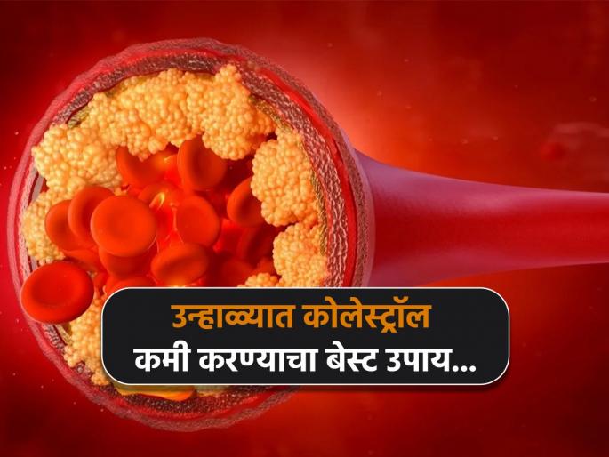 Buttermilk for reduce high cholesterol heart attack know how to drink | हाय कोलेस्ट्रॉल कमी करण्यासाठी उन्हाळ्यातील बेस्ट उपाय, हार्ट अटॅकचा धोका होईल कमी