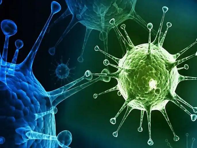 Covid Variant Corona virus is spreading again in the india People infected with XBB.1.16 variant in these 5 states | Covid Variant: देशात पुन्हा हात-पाय पसरतोय कोरोना व्हायरस! या 5 राज्यांमध्ये लोकांना XBB.1.16 व्हेरिअंटची लागण Covid Variant Corona virus is spreading again in the india People infected with XBB.1.16 variant in these 5 states | Covid Variant: देशात पुन्हा हात-पाय पसरतोय कोरोना व्हायरस! या 5 राज्यांमध्ये लोकांना XBB.1.16 व्हेरिअंटची लागण