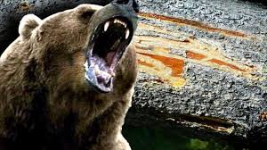 Labour seriously injured in bear attack | अस्वलाच्या हल्ल्यात मजूर गंभीर जखमी Labour seriously injured in bear attack | अस्वलाच्या हल्ल्यात मजूर गंभीर जखमी