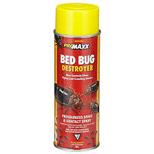 By killing bedbugs she lost herself life | ढेकूण मारण्याच्या नादात गेला तरुणीचा जीव