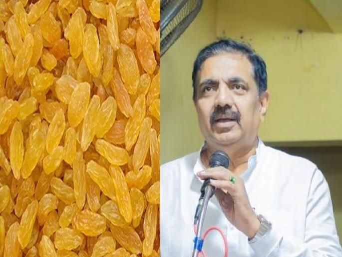 Why is the government silent when China's inferior raisins are being imported without paying taxes asks Jayant Patil | चीनचा निकृष्ट बेदाणा कर चुकवून येत असताना शासन गप्प का?, जयंत पाटील यांचा सवाल