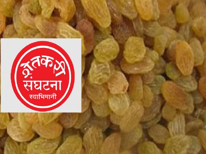 Give Rs 1 lakh per tonne subsidy to currant growers, Swabhimani demands | बेदाणा उत्पादकांना टनाला लाख रुपये अनुदान द्या, ‘स्वाभिमानी’ची मागणी Give Rs 1 lakh per tonne subsidy to currant growers, Swabhimani demands | बेदाणा उत्पादकांना टनाला लाख रुपये अनुदान द्या, ‘स्वाभिमानी’ची मागणी