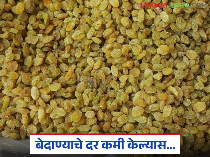 Farmers aggressive against traders for spreading rumors that raisins have come from abroad and trying to reduce prices | परदेशातून बेदाणा आल्याची अफवा पसरवून दर पाडण्याचा प्रयत्न; व्यापाऱ्यांविरोधात शेतकरी आक्रमक