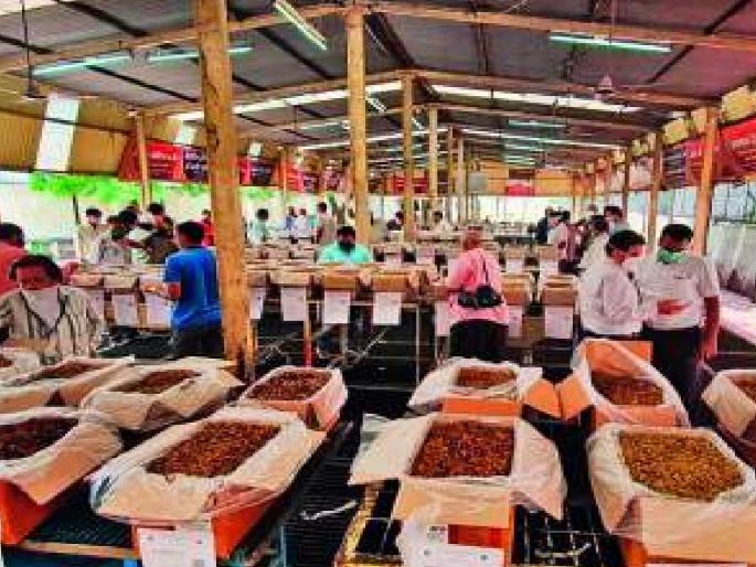 Currant deals in Sangli will go to Savli | सांगलीतील बेदाणा सौदे आता 'या' ठिकाणी होणार; काही व्यापाऱ्यांचा विरोध Currant deals in Sangli will go to Savli | सांगलीतील बेदाणा सौदे आता 'या' ठिकाणी होणार; काही व्यापाऱ्यांचा विरोध