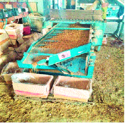 Prices will rise, but there will be a premature erosion in position | बेदाण्याचे दर वाढणार, मात्र पदरात अवकाळीचा फटका ;सांगली जिल्ह्यातील उत्पादन घटले