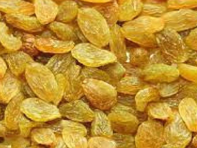 351 rupees per kg for currants of a farmer in Malgaon in Sangli, First time deals in Vashi market committee | मालगाव येथील शेतकऱ्याच्या बेदाण्याला सांगली-तासगावपेक्षा जास्त भाव, वाशी बाजार समितीमध्ये प्रथमच सौदे 351 rupees per kg for currants of a farmer in Malgaon in Sangli, First time deals in Vashi market committee | मालगाव येथील शेतकऱ्याच्या बेदाण्याला सांगली-तासगावपेक्षा जास्त भाव, वाशी बाजार समितीमध्ये प्रथमच सौदे