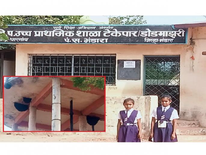 Six people including two schoolgirls injured in bee attack in Tekepar-Dodmazariof bhandara | चवताळलेल्या मधमाशांचा अचानक हल्ला; दोन शाळकरी विद्यार्थिनींसह सहाजण जखमी Six people including two schoolgirls injured in bee attack in Tekepar-Dodmazariof bhandara | चवताळलेल्या मधमाशांचा अचानक हल्ला; दोन शाळकरी विद्यार्थिनींसह सहाजण जखमी