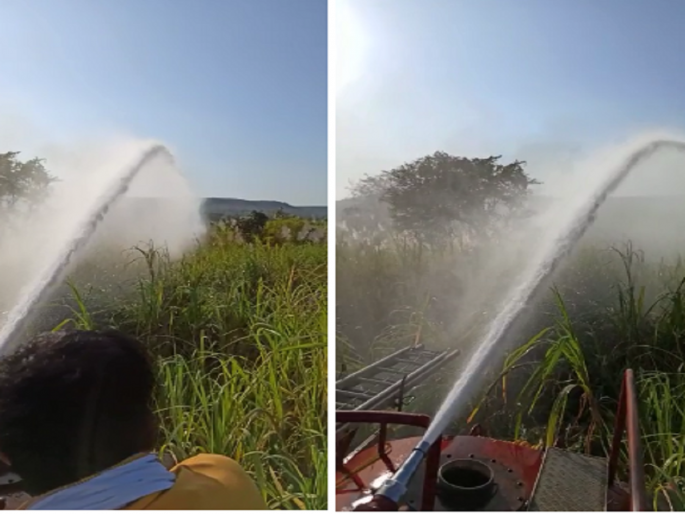 Ash of farmer's dreams due to short circuit; Burn about 1200 tons of sugarcane on 15 acres | शॉर्टसर्किटमुळे शेतकऱ्याच्या स्वप्नांची राख; १५ एकरवरील जवळपास १२०० टन ऊस जळून खाक Ash of farmer's dreams due to short circuit; Burn about 1200 tons of sugarcane on 15 acres | शॉर्टसर्किटमुळे शेतकऱ्याच्या स्वप्नांची राख; १५ एकरवरील जवळपास १२०० टन ऊस जळून खाक