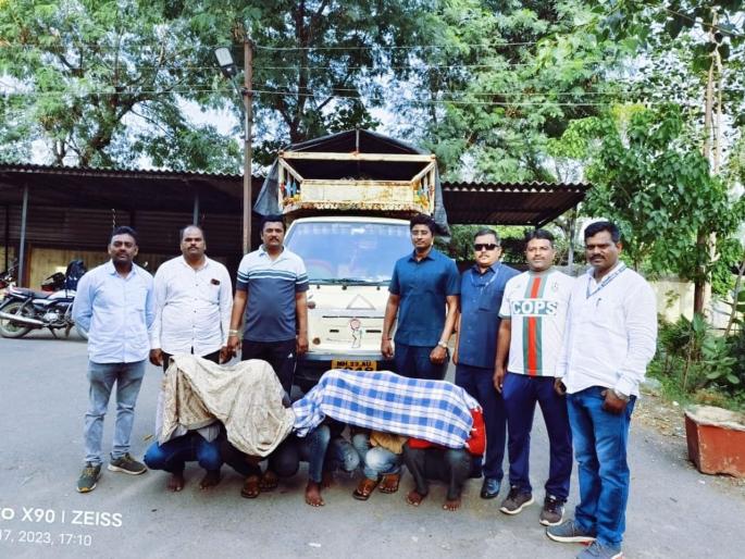 Beed: Khillari bullock pair stolen by friends; Even before the sale, Bedya, local crime branch action near Pendgaon | Beed: मित्रांनी मिळून चोरली खिल्लारी बैलजोडी; विक्री करण्याआधीच बेड्या, स्थानिक गुन्हे शाखेची पेंडगावजवळ कारवाई Beed: Khillari bullock pair stolen by friends; Even before the sale, Bedya, local crime branch action near Pendgaon | Beed: मित्रांनी मिळून चोरली खिल्लारी बैलजोडी; विक्री करण्याआधीच बेड्या, स्थानिक गुन्हे शाखेची पेंडगावजवळ कारवाई