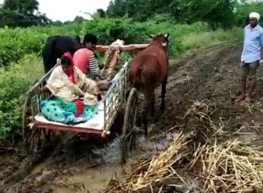Helpless ! 'This' village still has no road; Woman travels in a bullock cart for delivery ! | हतबलता ! 'या' गावाला अजूनही रस्ता नाही; प्रसूतीसाठी महिलेचा बैलगाडीतून प्रवास ! Helpless ! 'This' village still has no road; Woman travels in a bullock cart for delivery ! | हतबलता ! 'या' गावाला अजूनही रस्ता नाही; प्रसूतीसाठी महिलेचा बैलगाडीतून प्रवास !