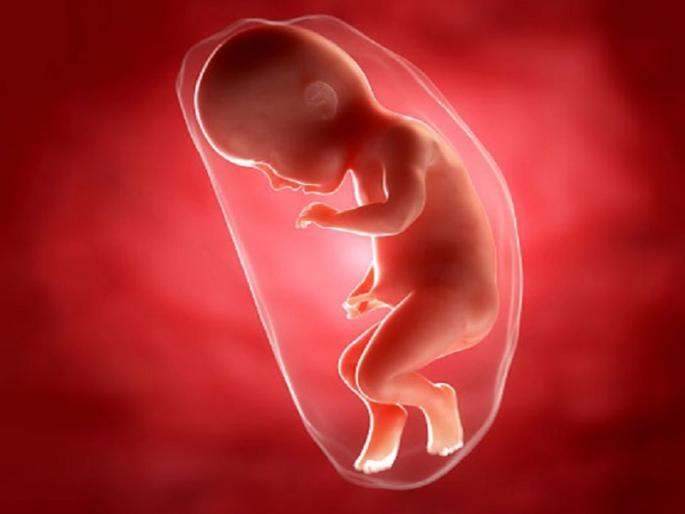 shocking ! 651 embryos removed in 15 months in Beed | धक्कादायक ! बीडमध्ये १५ महिन्यांत काढल्या ६५१ गर्भपिशव्या shocking ! 651 embryos removed in 15 months in Beed | धक्कादायक ! बीडमध्ये १५ महिन्यांत काढल्या ६५१ गर्भपिशव्या