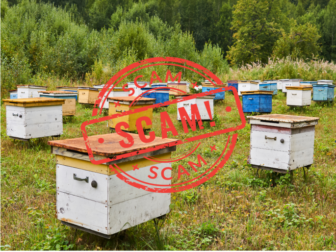 scam of agricultural officers; Millions lost in pocra agriculture scheme on fake bills of beehives | कृषी अधिकाऱ्यांचा प्रताप; मधुमक्षिका पेट्यांच्या बनावट बिलांवर पोकरात लाखोंची खैरात scam of agricultural officers; Millions lost in pocra agriculture scheme on fake bills of beehives | कृषी अधिकाऱ्यांचा प्रताप; मधुमक्षिका पेट्यांच्या बनावट बिलांवर पोकरात लाखोंची खैरात