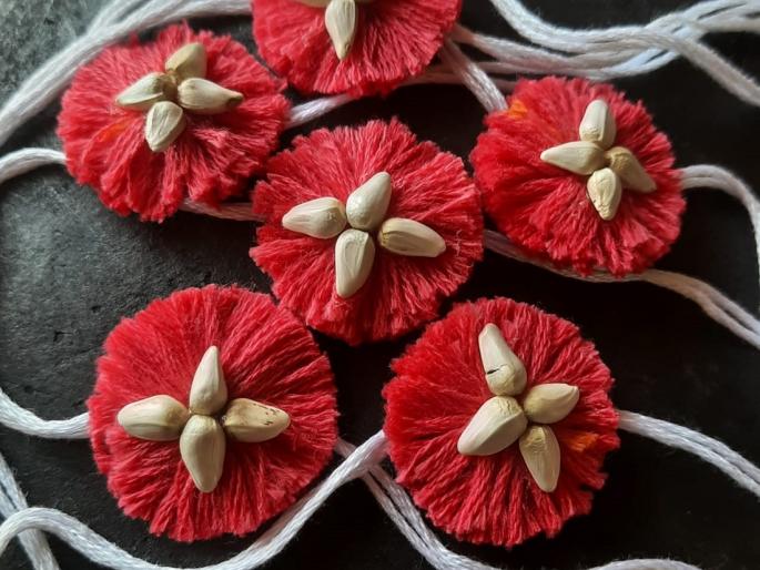 What is Rakhi made from seeds? How will it benefit the farmers? | बियाणांपासून केलेली राखी म्हणजे काय? तिचा शेतकऱ्यांना कसा उपयोग होईल? What is Rakhi made from seeds? How will it benefit the farmers? | बियाणांपासून केलेली राखी म्हणजे काय? तिचा शेतकऱ्यांना कसा उपयोग होईल?