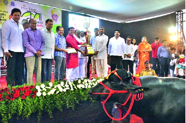 Mahadikasaheb, BJP, do this, minister! Directed by Suresh Halwankar: 'Bhima exhibition'; The pride of the birds and the birds | महाडिकसाहेब, भाजपमध्ये या, मंत्री करू! सुरेश हाळवणकर यांचे थेट आवतण : ‘भीमा प्रदर्शन’ सांगता समारंभात टोलेबाजी; पशु-पक्षी पालकांचा गौरव  Mahadikasaheb, BJP, do this, minister! Directed by Suresh Halwankar: 'Bhima exhibition'; The pride of the birds and the birds | महाडिकसाहेब, भाजपमध्ये या, मंत्री करू! सुरेश हाळवणकर यांचे थेट आवतण : ‘भीमा प्रदर्शन’ सांगता समारंभात टोलेबाजी; पशु-पक्षी पालकांचा गौरव